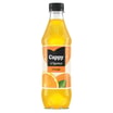 Cappy G'Spritzt Orange 0,5l